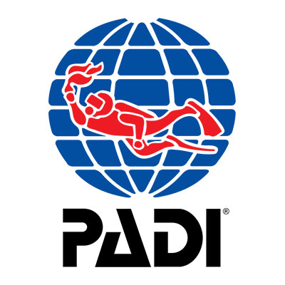 Padi