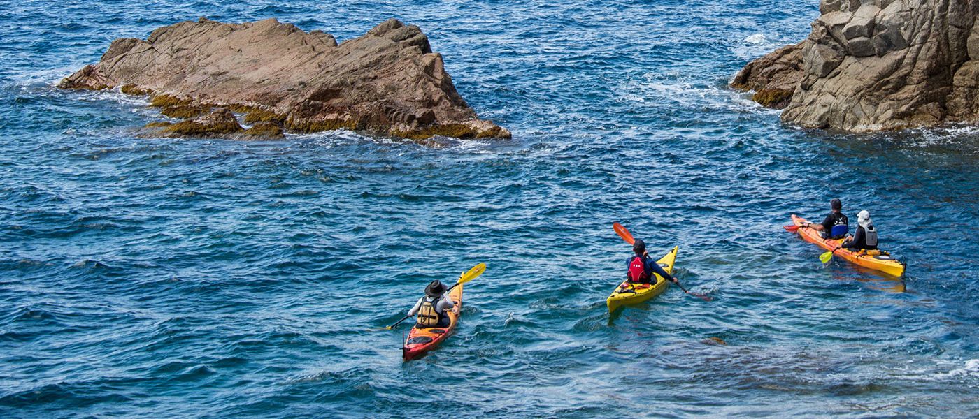 Kayak de mer